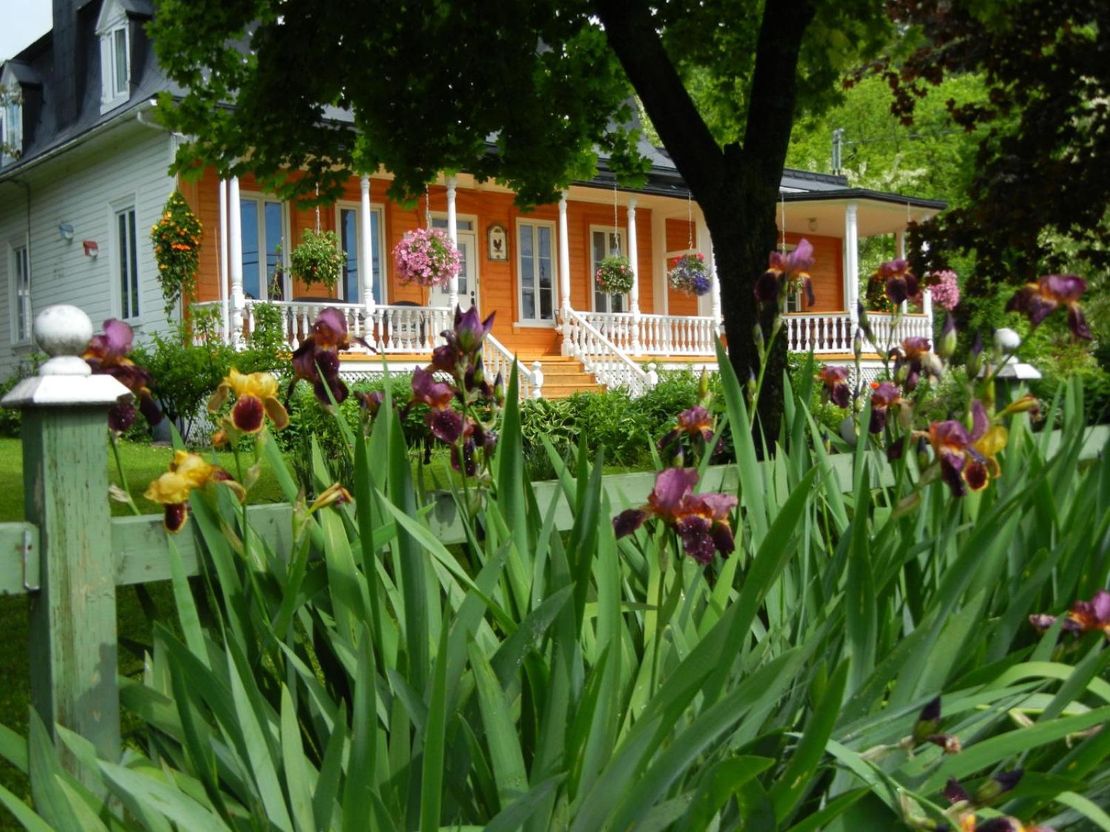 Auberge Du Sault-A-La-Puce Chateau Richer Exterior photo